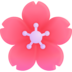 :cherry_blossom: :cherry_blossom: