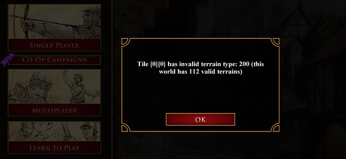 Aoe2 Error.PNG