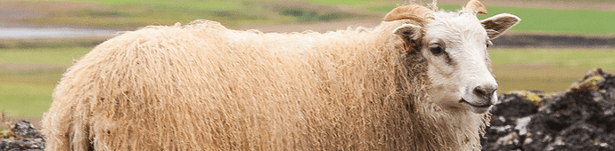 Capture d’écran 2023-05-12 190146