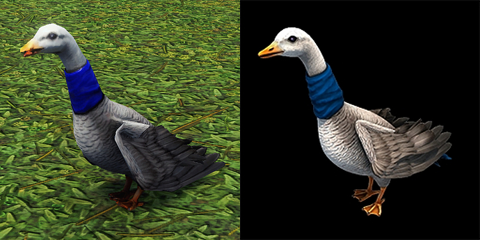 geese