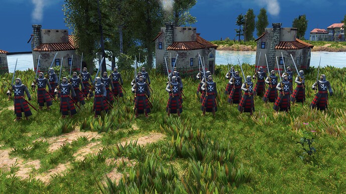 AoE III DE Maltese Guard Hospitaller during the day