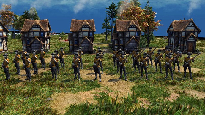 AoE III DE Dutch Skirmisher during the day
