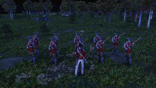 AoE III DE Militia Officer leading Canadian Militia during the night