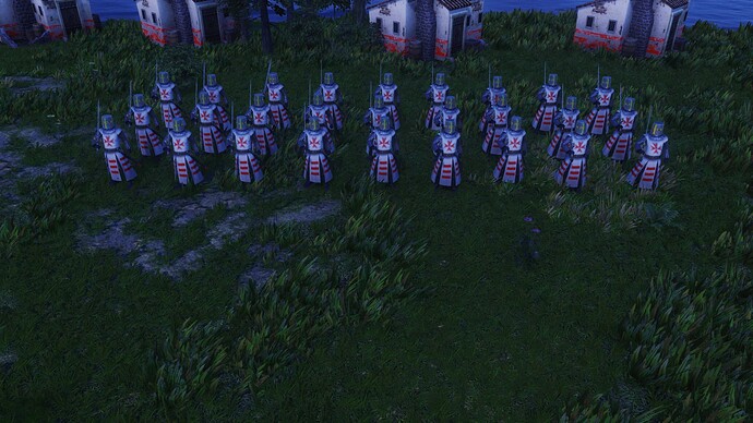 AoE III DE Maltese Teutonic Knight Hospitaller During the night