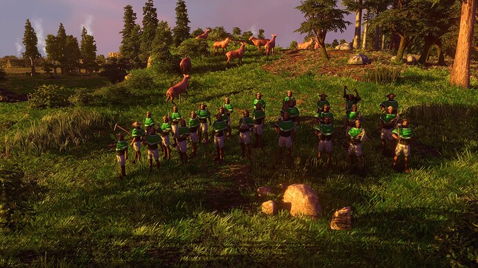 AoE III DE Mexicans Insurgente at sunset