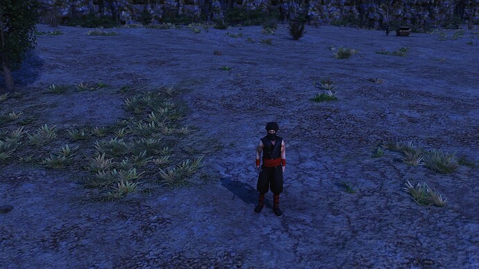AoE III DE Ottoman Muhbir during the night