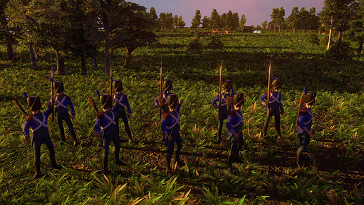 AoE III DE Foot Carabineer at sunset
