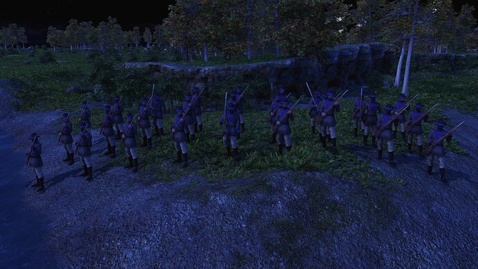 AoE III DE United States State Volunteer during the night