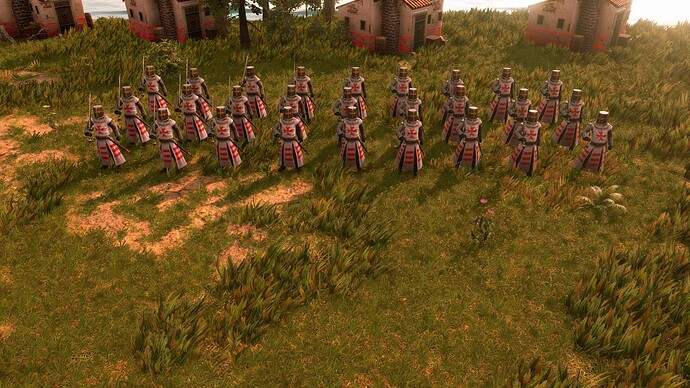 AoE III DE Maltese Teutonic Knight Hospitaller at sunrise