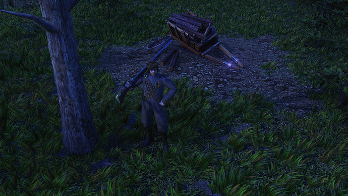 AoE III DE Whigg during the night