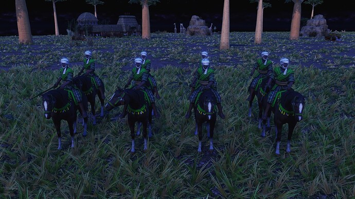 AoE III DE Hausa Raider during the night