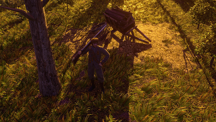 AoE III DE Whigg at sunset