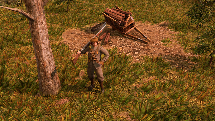 AoE III DE Whigg at sunrise
