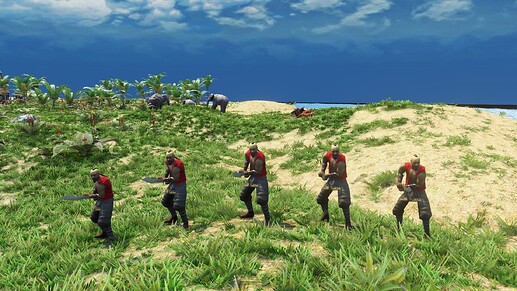 AoE III DE Wokou Pirate during the day