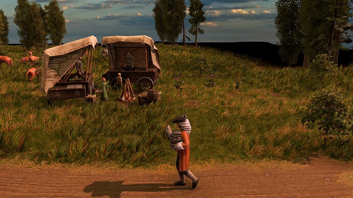 AoE III DE Scholar at sunrise