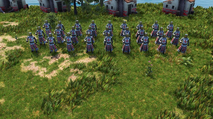 AoE III DE Maltese Teutonic Knight Hospitaller during the day