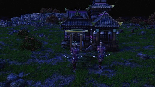 AoE III DE Nakano Takeko during the night