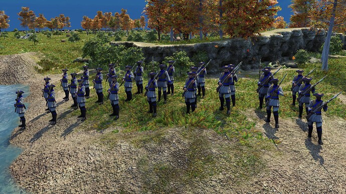 AoE III DE United States Veteran State Militia during the day