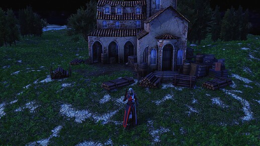 AoE III DE Knightess Templar during the night