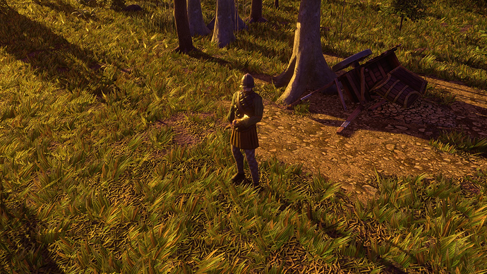 AoE III DE Rapparee at sunset
