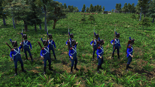 AoE III DE Foot Carabineer during the day