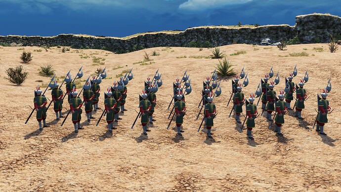 AoE III DE Ottoman Guard Azap during the day