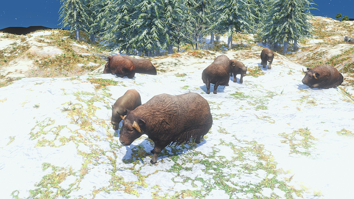 AoE III DE Musk Ox during the day