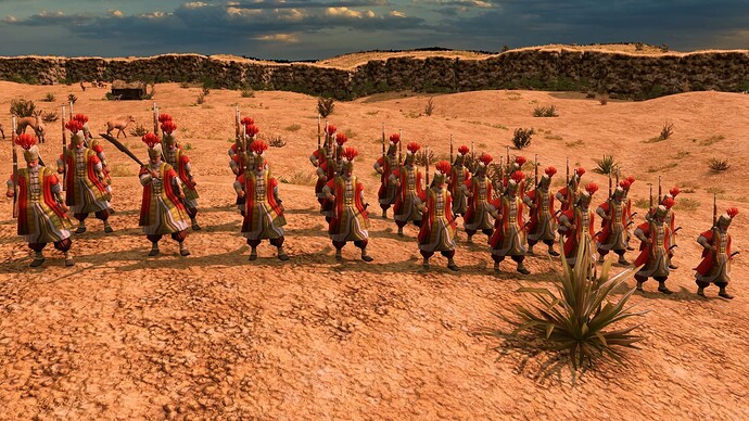 AoE III DE Ottoman Guard Janissary at sunrise