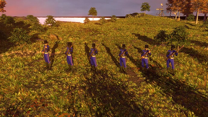 AoE III DE United States Marines at sunset