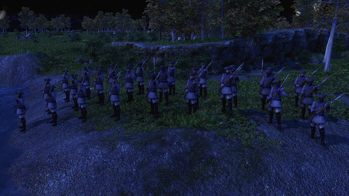 AoE III DE United States Veteran State Militia during the night