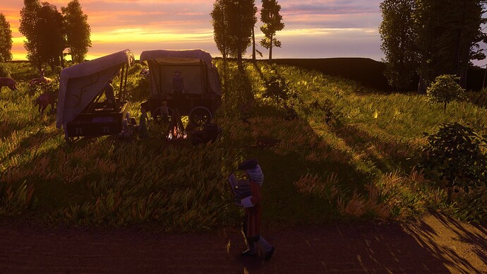 AoE III DE Scholar at sunset