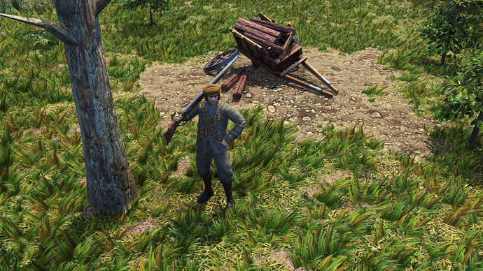 AoE III DE Whigg during the day