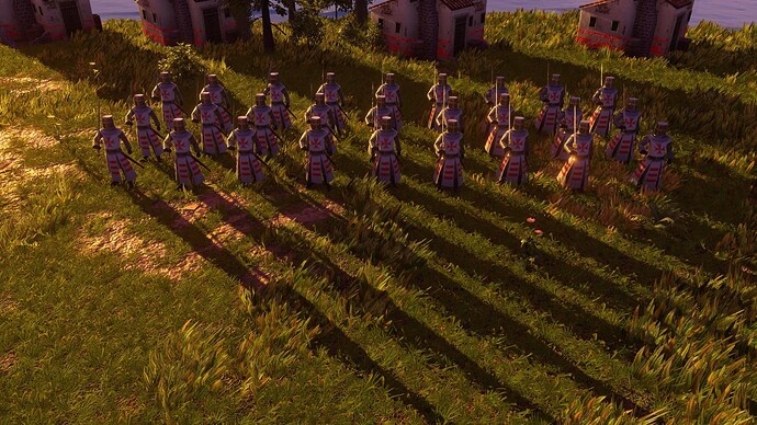 AoE III DE Maltese Teutonic Knight Hospitaller at sunset