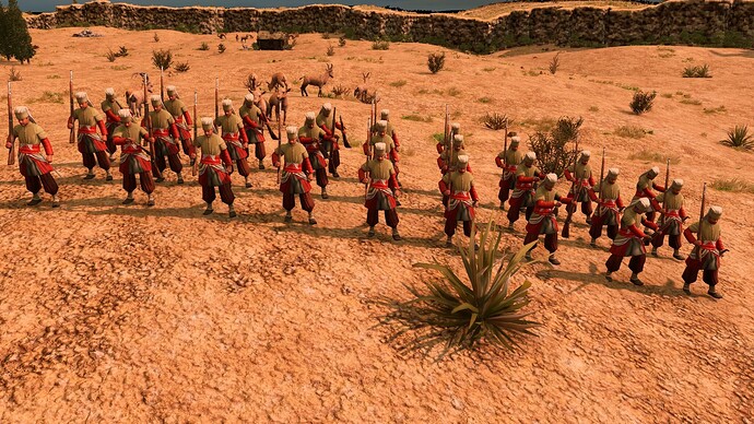 AoE III DE Ottoman Janissary at sunrise