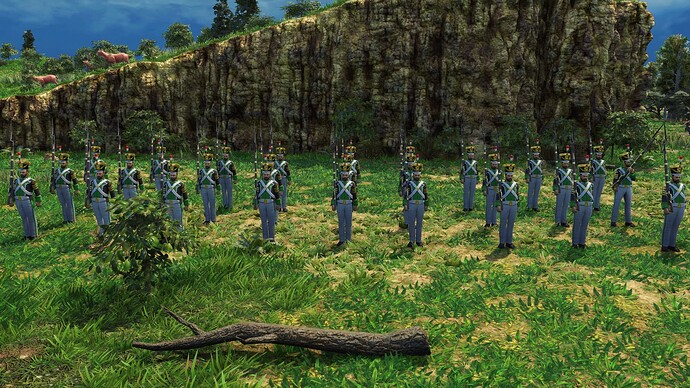 AoE III DE Mexicans Imperial Soldado during the day