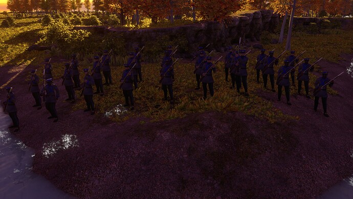 AoE III DE United States Imperial Volunteer at sunset