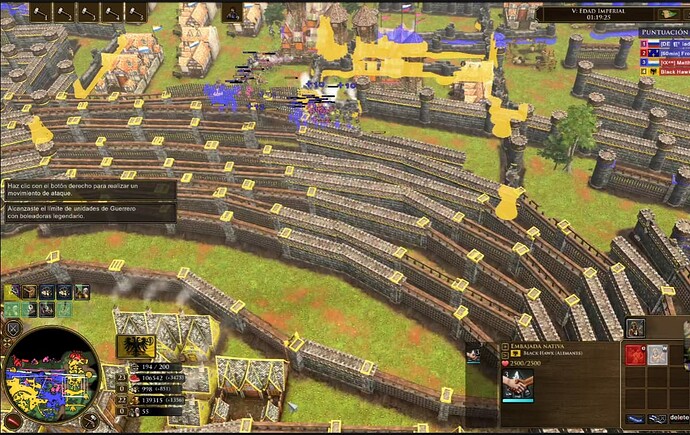 aoe3