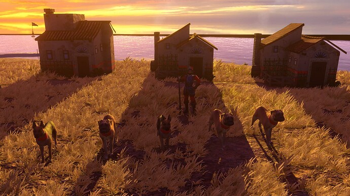 AoE III DE Spanish War Dogs and their Master at sunset