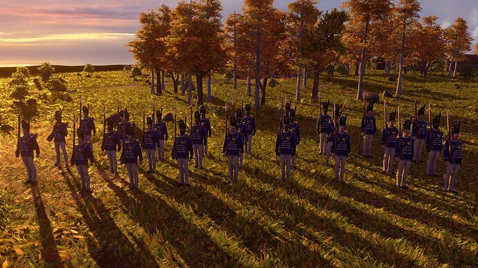 AoE III DE United States Guard Regular at sunset