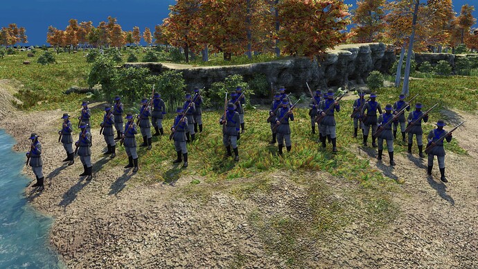 AoE III DE United States State Volunteer during the day