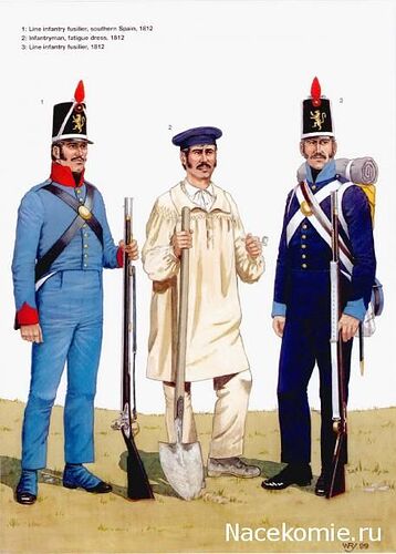 spanish uniforms napoleonic wars - Google 搜尋