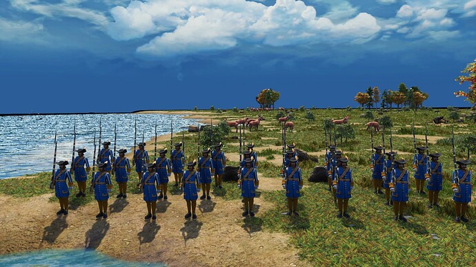 AoE III Dutch Blue Guard during the day