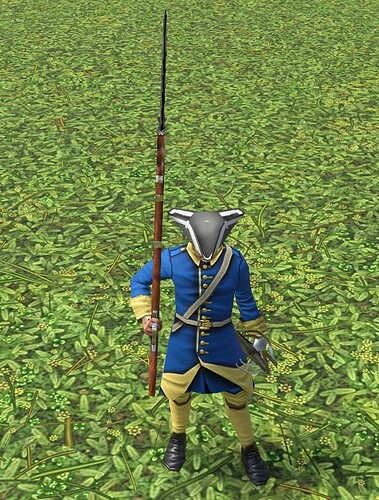 Swedes_veteran_carolean_ingame