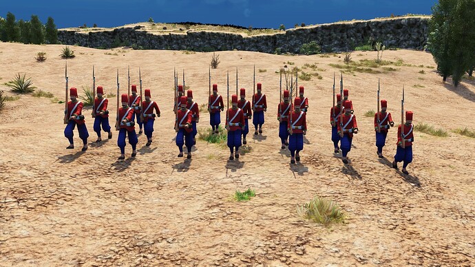 AoE III DE Ottoman Veteran Nizam Fusilier during the day