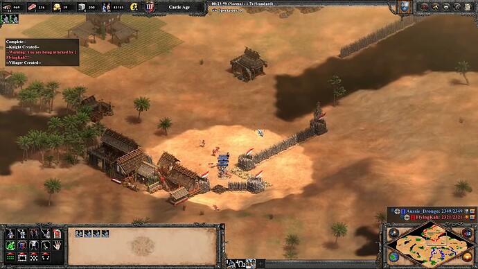 Age of Empires II UI