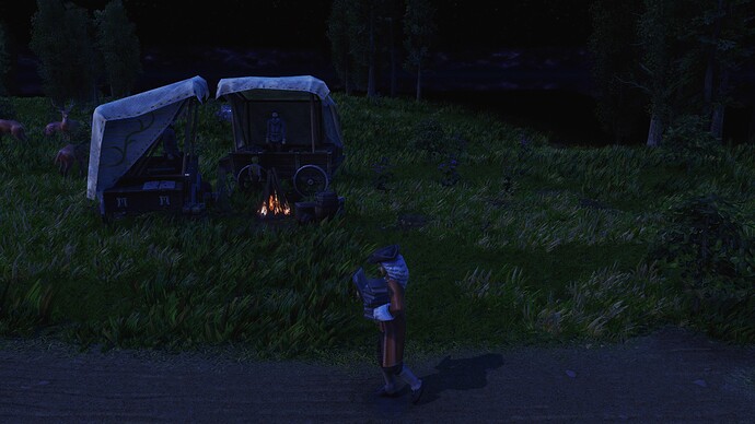 AoE III DE Scholar during the night
