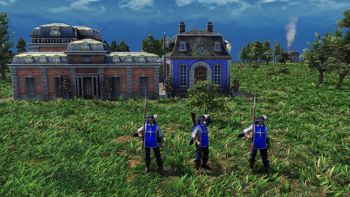 AoE III DE House of Bourbon Royal Musketeer during the day