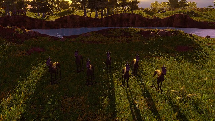 AoE III DE Inca Peruvian Dog at sunset