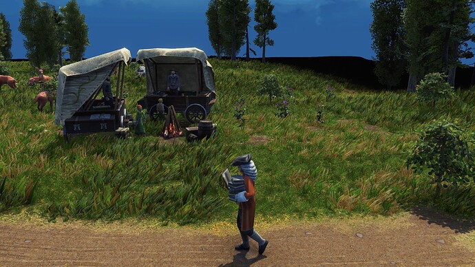 AoE III DE Scholar during the day