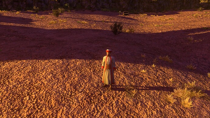 AoE III DE Ottoman Imam at sunset